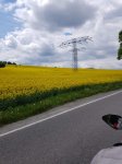 Mai/Juni 2019 Erzgebirge